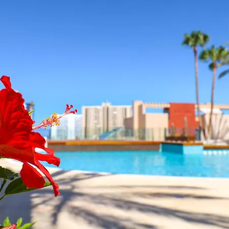 Relax In Paraiso Appartamento Playa Paraiso (Tenerife)