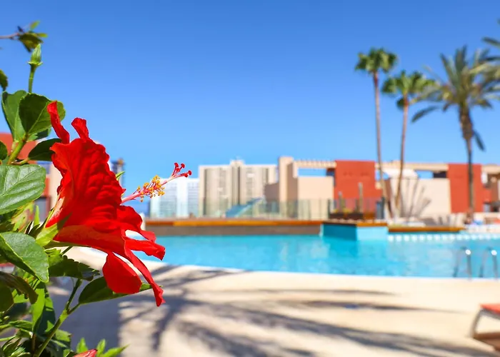 Relax In Paraiso Lägenhet Playa Paraiso (Tenerife)